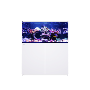 Reefer 350 G3
